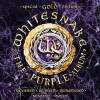 Purple Album: Special Purple Album: Special