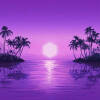 Paradise Paradise