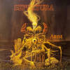 Arise
