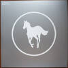 White Pony